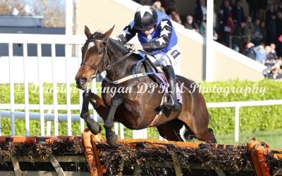 Court Artist Wexford October 29th 2017 winning the Casey Tarmacadam Mares Hurdle